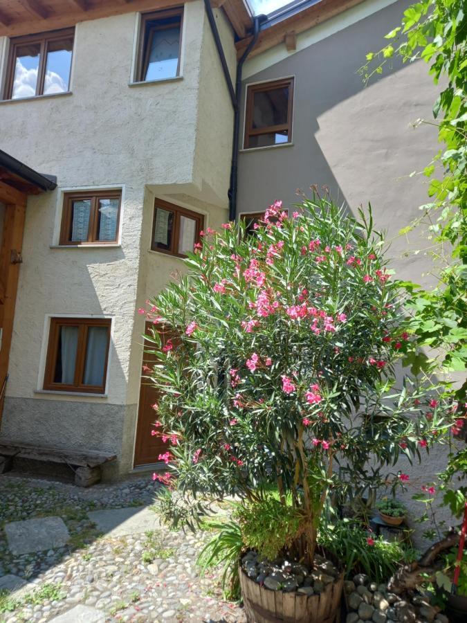 Valtellina Grosotto Holidays Dış mekan fotoğraf